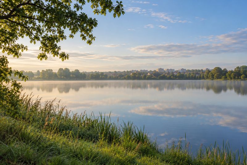 Spokojny zalew o poranku